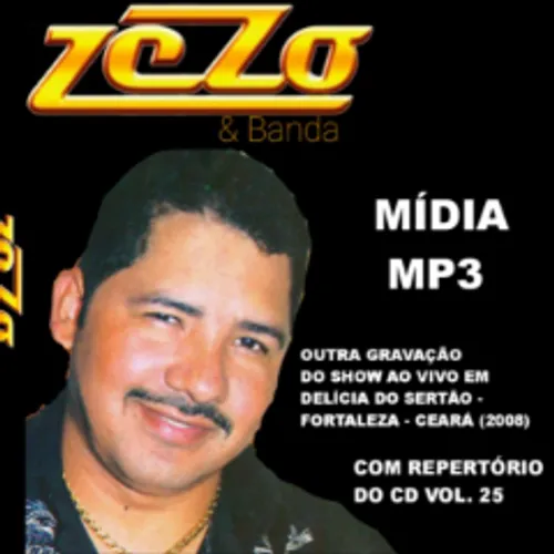 zezo vol 14 sua musica